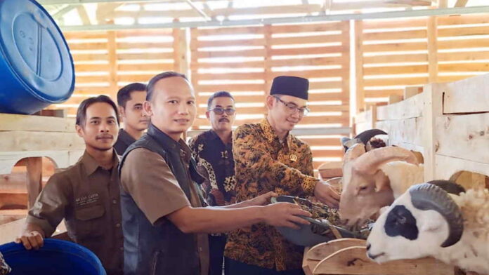 Anggota Komisi A DPRD Ciamis Apresiasi Peternakan Kambing Modern di Pamarican
