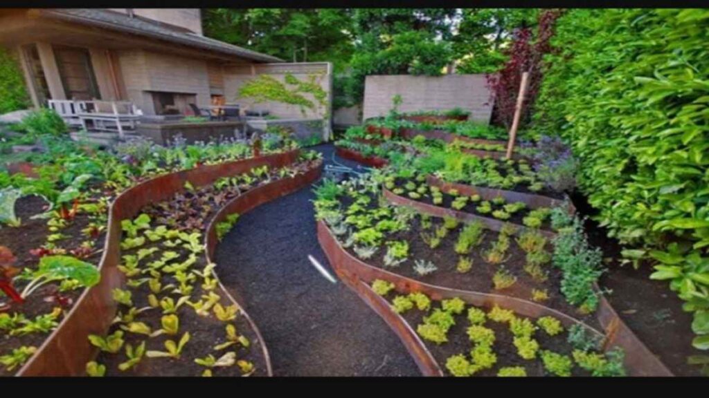 Inspirasi Desain Kebun Sayur Belakang Rumah Agar Tampil Cantik
