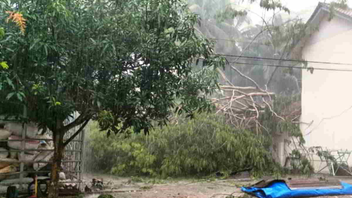 Akibat Bencana Angin Kencang di Ciamis, Pohon Tumbang Timpa Rumah Warga, 1 Orang Terluka