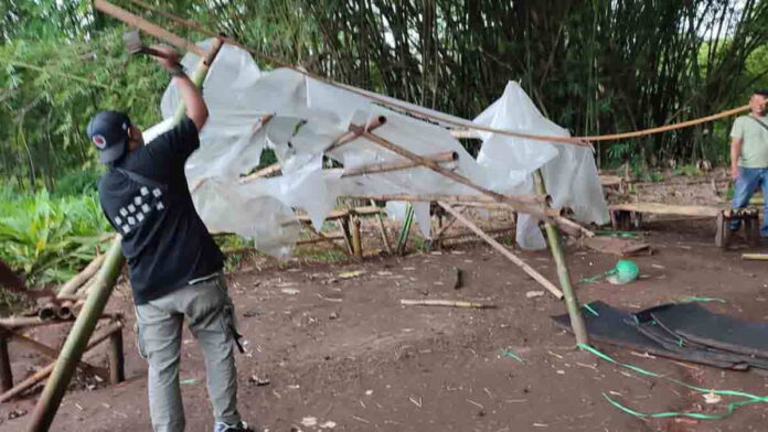 Judi Sabung Ayam