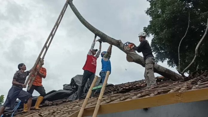 Pohon tumbang di Cimalaka Sumedang