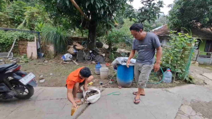 Warga Jatigede Sumedang Tangkap Ular Piton 4 Meter Pemangsa Ayam Ternak