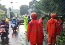 Jalan Nasional