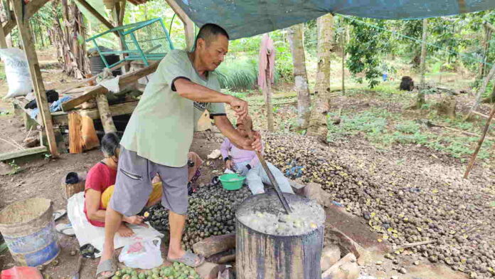 Melihat Proses Produksi Kolang-kaling di Ciamis
