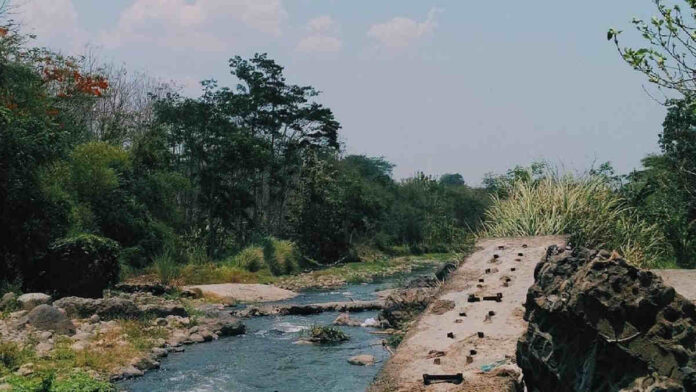 Misteri Hutan Tinjomoyo Semarang Dibalik Keindahannya