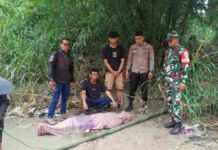 Pria Garut sungai