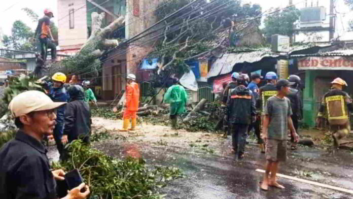 Pohon Besar Tumbang ke Jalan