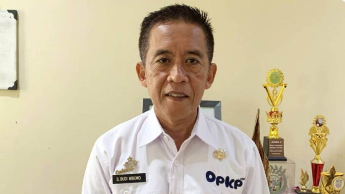 Selama Tahun 2024, Dinas Pertanian Sebut Produksi Singkong di Ciamis Capai 14.429 Ton