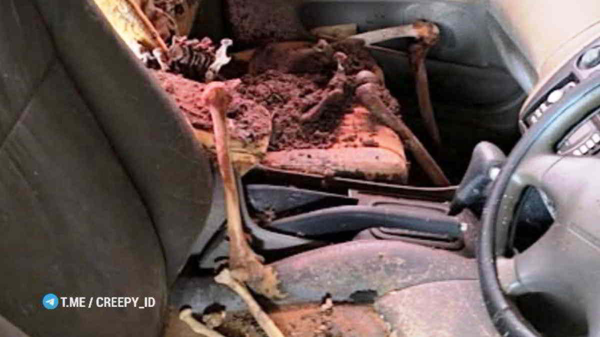 Mengejutkan! Misteri Penemuan Kerangka Manusia dalam Mobil di Asrama Polisi Gresik
