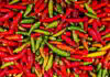 Harga Cabai Rawit Merah