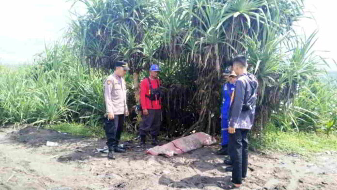 Muara Sungai Cilaki