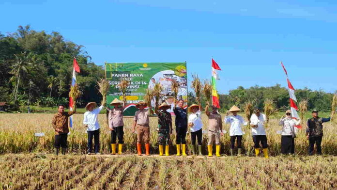 Ciamis Dukung Swasembada Pangan Nasional dengan Panen Raya dan Pertanian Berkelanjutan