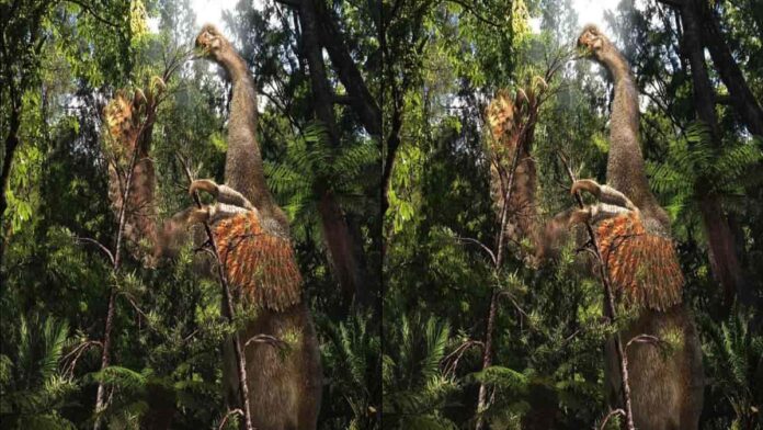 Duonychus Dinosaurus Mirip Kukang yang Mengejutkan Dunia Ilmiah
