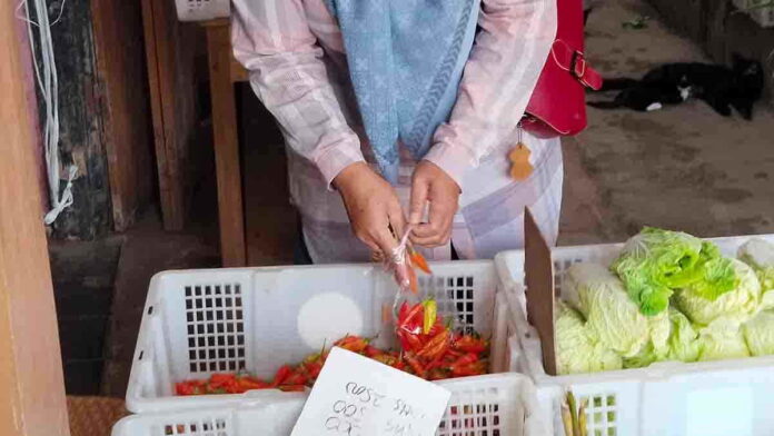 Harga Cabai Pangandaran