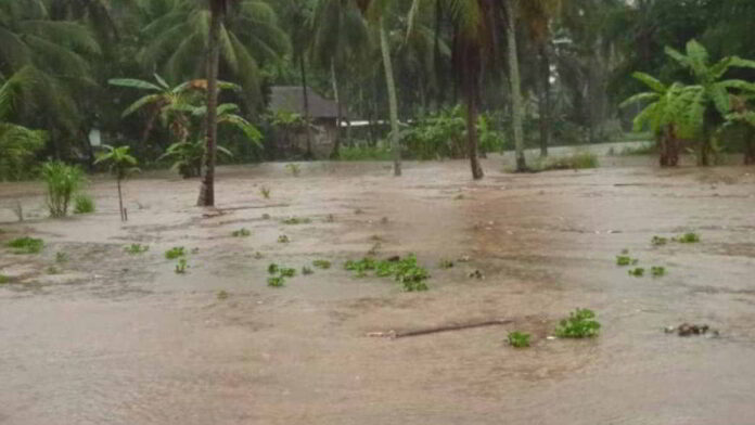 Kolam Ikan Milik Warga