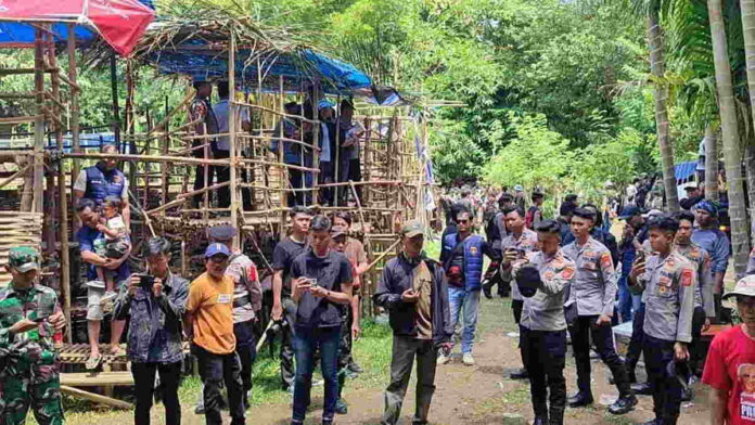 Kegiatan Adu Bagong di Cigugur Pangandaran Dibubarkan Aparat Gabungan