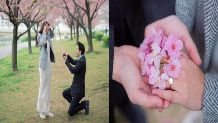 Maxime Bouttier Melamar Luna Maya, Cinta Bersemi di Bawah Bunga Sakura
