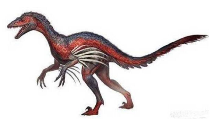 Pelari Andal, Inilah Wujud Dinosaurus Tercepat di Dunia