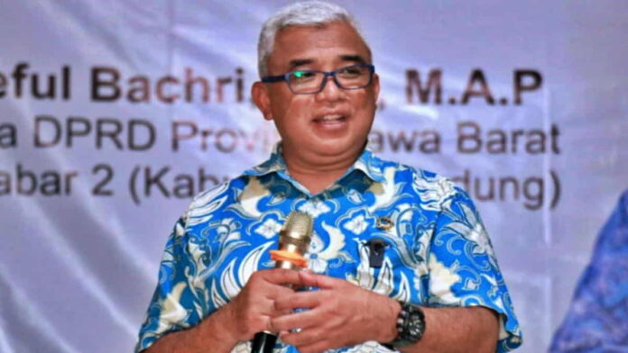 tanaman kakao