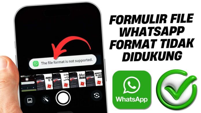 Penyebab Format File Tidak Didukung Wa dan Cara Mengatasinya