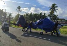 pesawat mendarat darurat di Pangandaran