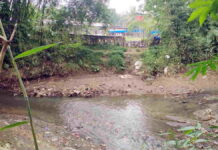 Respons Pemkab Pangandaran Soal Dugaan Pencemaran Udara di Banjarsari dari Kandang Ayam