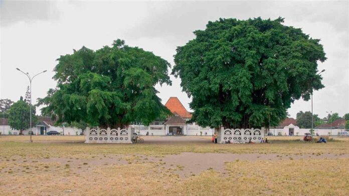 Sejarah Alun-Alun Kidul Yogyakarta dan Fungsinya pada Zaman Dahulu