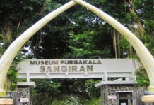 Sejarah Museum Sangiran, Pusat Koleksi Fosil Manusia Purba di Jawa Tengah