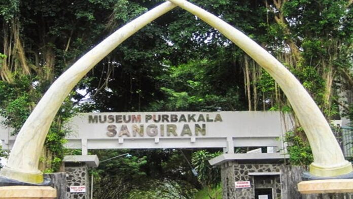 Sejarah Museum Sangiran, Pusat Koleksi Fosil Manusia Purba di Jawa Tengah