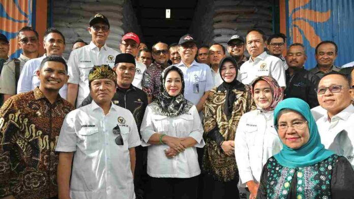 Serapan gabah petani