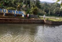 Ikan mas di Citu Hiyang Ciamis
