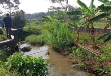 Sungai Cikadongdong Ciamis Alami Pendangkalan, Warga Minta Normalisasi untuk Cegah Banjir