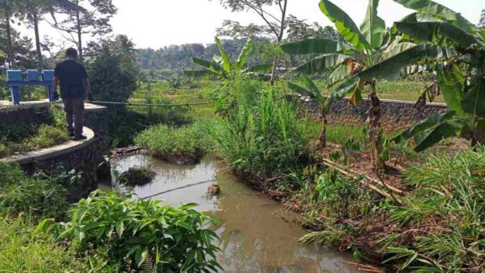 Sungai Cikadongdong Ciamis Alami Pendangkalan, Warga Minta Normalisasi untuk Cegah Banjir