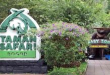 Pemilik Taman Safari