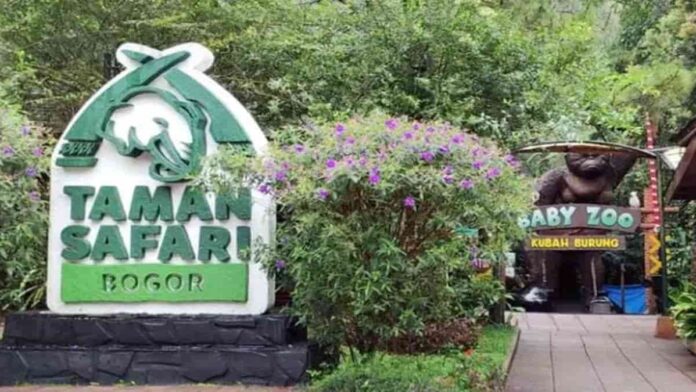 Pemilik Taman Safari