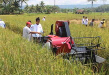 Upaya Dinas Pertanian Ciamis Tarik Minat Kaum Milenial Agar Mau Jadi Petani