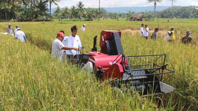 Upaya Dinas Pertanian Ciamis Tarik Minat Kaum Milenial Agar Mau Jadi Petani