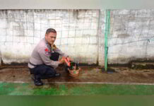 Granat dan Peluru Aktif