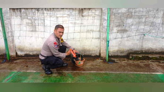 Granat dan Peluru Aktif