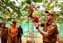 Destinasi Agrowisata Hits di Sumedang