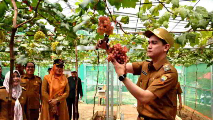 Destinasi Agrowisata Hits di Sumedang