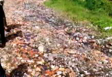 Jalan Rusak Puluhan Tahun