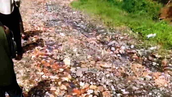 Jalan Rusak Puluhan Tahun