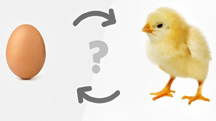 Apakah Telur atau Ayam yang Lebih Dulu Simak Jawabannya Menurut Sains