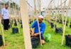 Budidaya Pertanian Melon Madesta Ala Warga Binaan Lapas Banjar