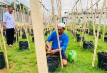 Budidaya Pertanian Melon Madesta Ala Warga Binaan Lapas Banjar
