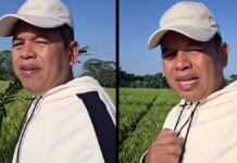 Dedi Mulyadi dua kali dikirim Ular King Kobra