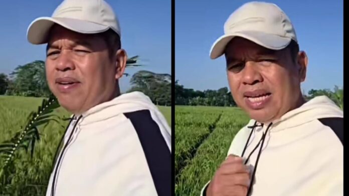 Dedi Mulyadi dua kali dikirim Ular King Kobra