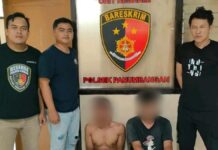 Dua maling domba dibekuk polisi