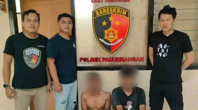Dua maling domba dibekuk polisi